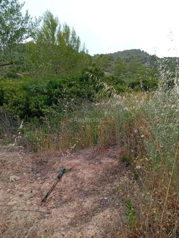 Venta  - Corbera dEbre, Tarragona