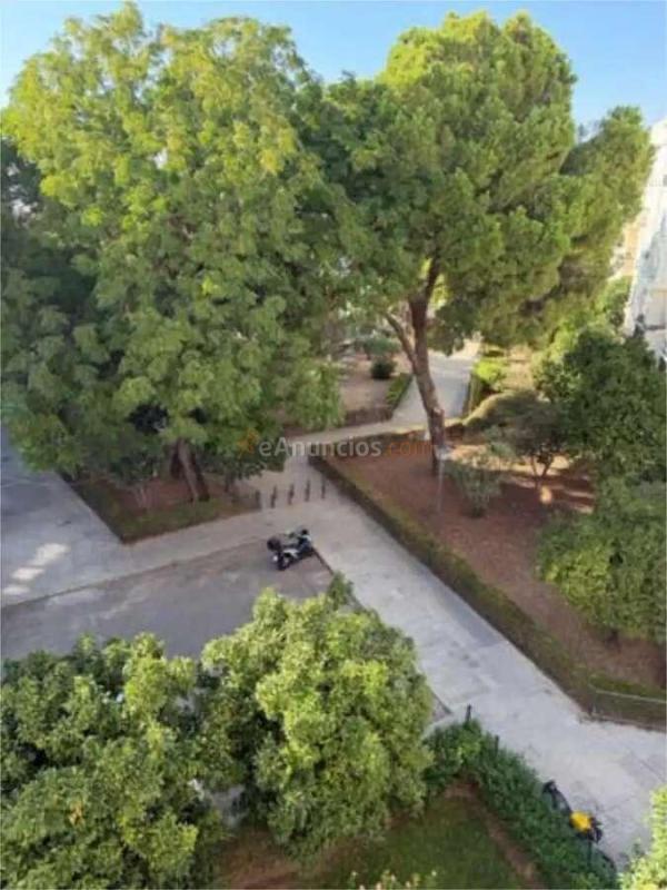Venta  - Macarena, Sevilla