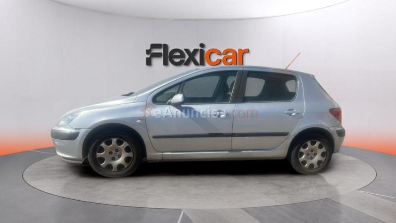 Peugeot 307 1.6 XR Clim Plus 