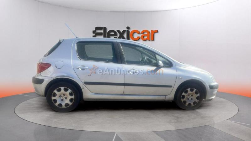 Peugeot 307 1.6 XR Clim Plus 