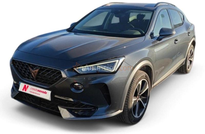 Cupra Formentor 2.0 TDI 110kW 150 CV 