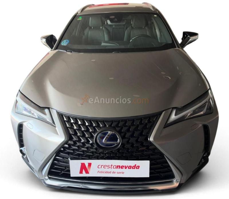 Lexus UX 2.0 250h Business 