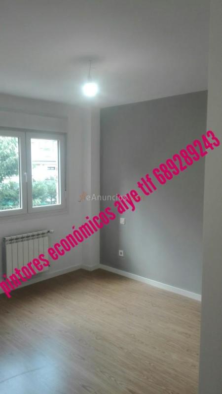 pintores economicos en majadahonda 689289243 alye