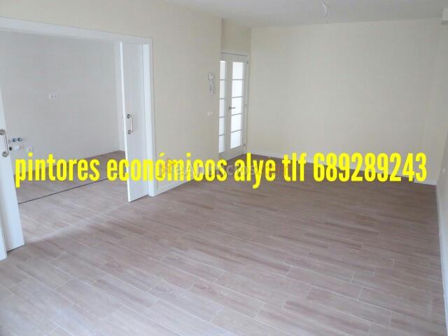 pintores economicos en majadahonda 689289243 alye