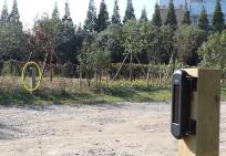 Seguridad del perímetro del detector de rayos solares
