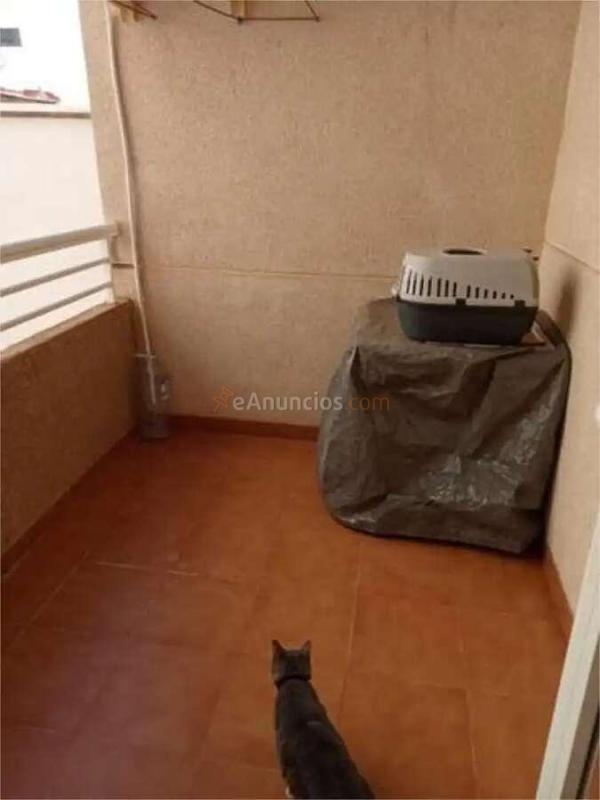 Venta  - Torrevieja, Alicante