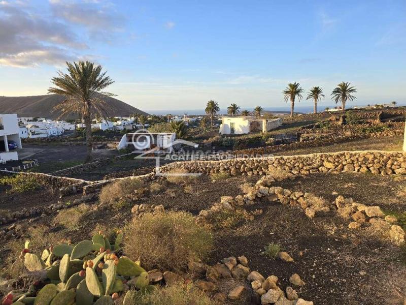 Casa de campo tradicional canaria