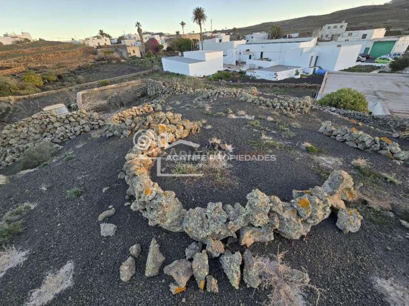 Casa de campo tradicional canaria