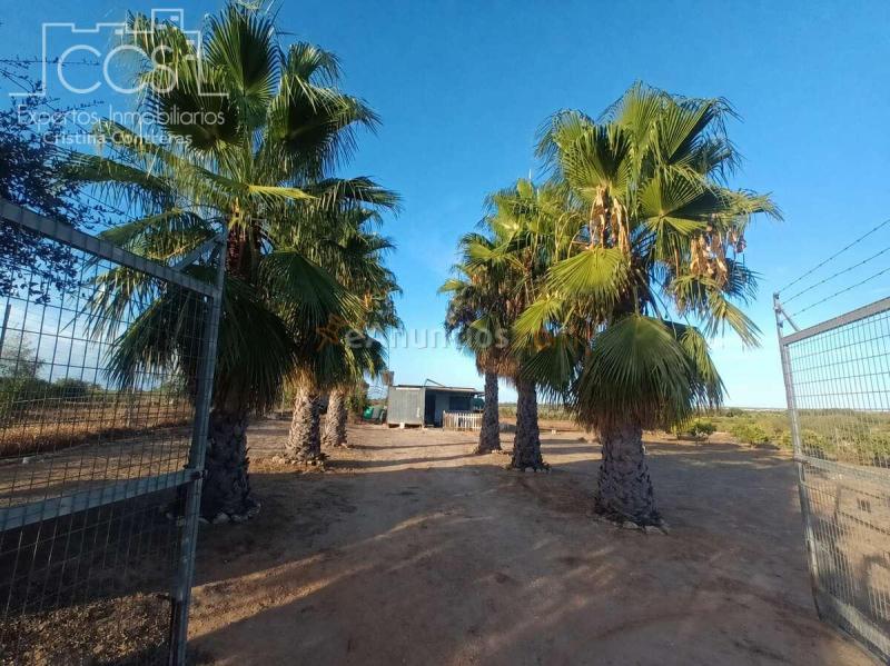 Venta de Finca en PROPIEDAD de 3.117 m2 de Terreno con 2 contenedores en Bollullos Par del Condado(Huelva)