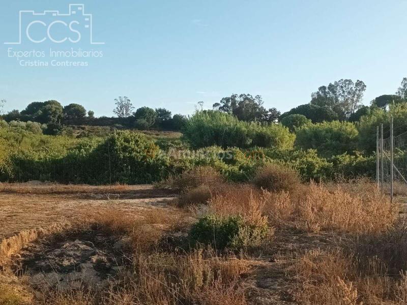 Venta de Finca en PROPIEDAD de 3.117 m2 de Terreno con 2 contenedores en Bollullos Par del Condado(Huelva)