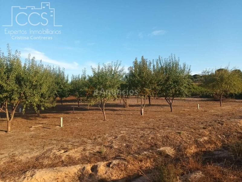 Venta de Finca en PROPIEDAD de 3.117 m2 de Terreno con 2 contenedores en Bollullos Par del Condado(Huelva)