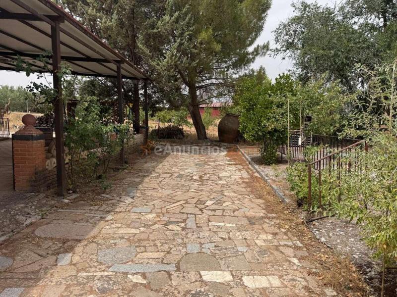 Casa de campo con olivar junto a valdepeñas
