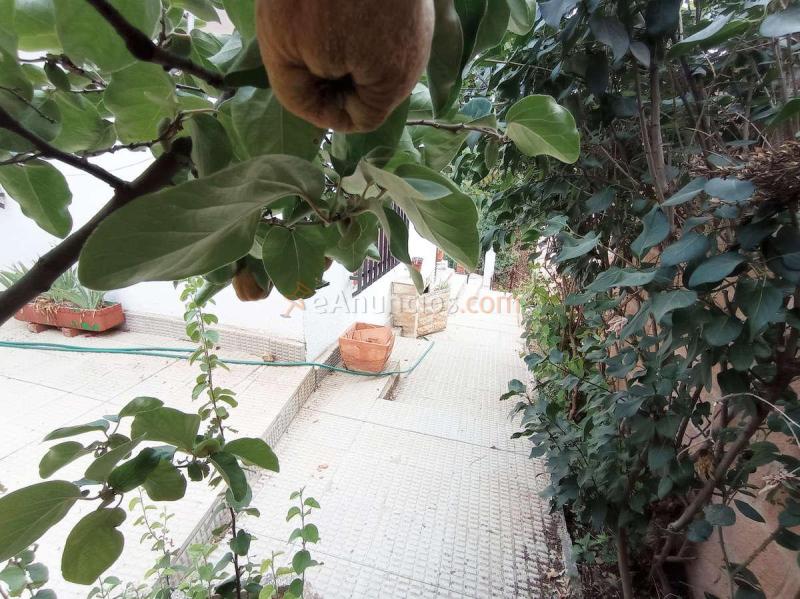 Se vende coqueta casa en el peral