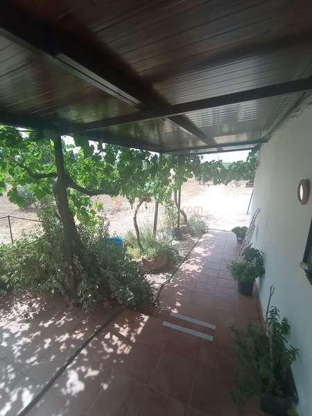 Casa de campo a 6km de valdepeñas