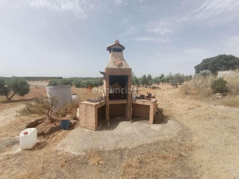 Casa de campo a 6km de valdepeñas