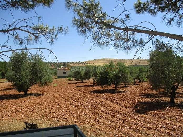 Venta  - Atalayuela, Valdepeñas, Ciudad Real