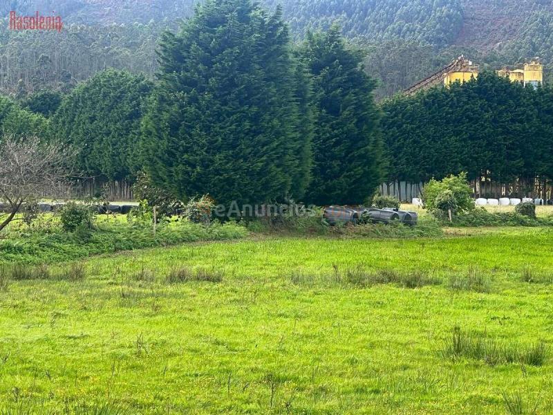 Venta de Suelo Urbano Residencial en Carretera CTRA. GENERAL SAN PEDRO, N.148-150, Po.L Barreiros (Lugo)