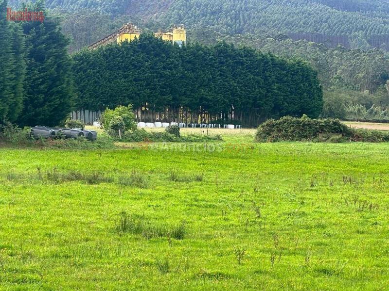 Venta de Suelo Urbano Residencial en Carretera CTRA. GENERAL SAN PEDRO, N.148-150, Po.L Barreiros (Lugo)