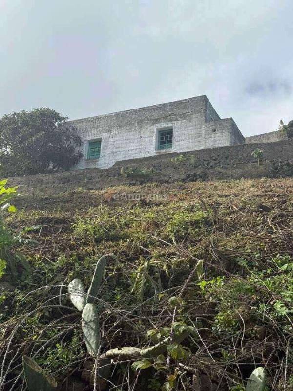 Finca rústica situada en Santa Bárbara, Icod de los Vinos, con una parcela de aproximadamente 2.780 m y una vivienda de unos 180 m construidos.