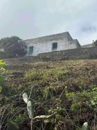 Finca rústica situada en Santa Bárbara, Icod de los Vinos, con una parcela de aproximadamente 2.780 m y una vivienda de unos 180 m construidos.