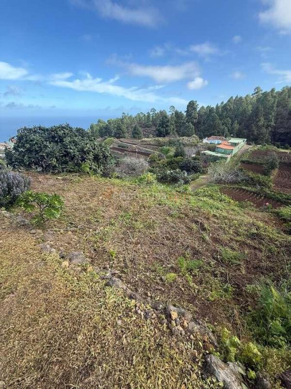Finca rústica situada en Santa Bárbara, Icod de los Vinos, con una parcela de aproximadamente 2.780 m y una vivienda de unos 180 m construidos.