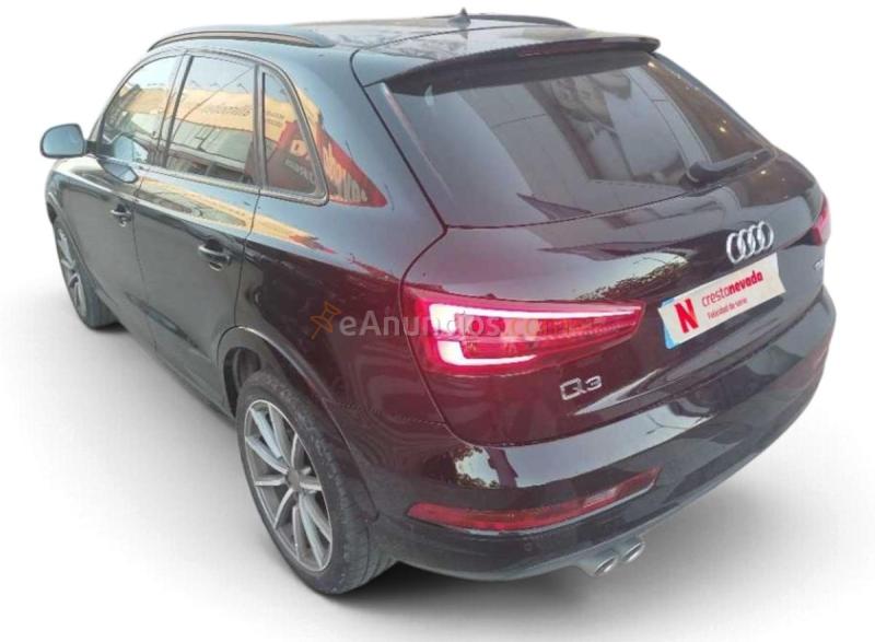 Audi Q3 Sport edition 2.0 TDI 88kW 120CV 