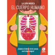EL CUERPO HUMANO