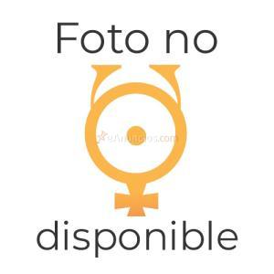LIBRO DE BUEN AMOR. CONTORNO