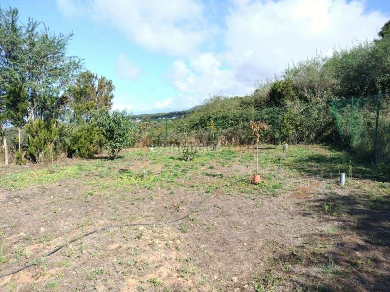 FINCA RÚSTICA CON VIVIENDA, 2 habitaciones EN ERJOS, TENERIFE OESTE Se vende finca rústica de 2.305 m