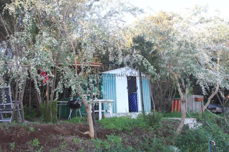 FINCA RÚSTICA CON VIVIENDA, 2 habitaciones EN ERJOS, TENERIFE OESTE Se vende finca rústica de 2.305 m