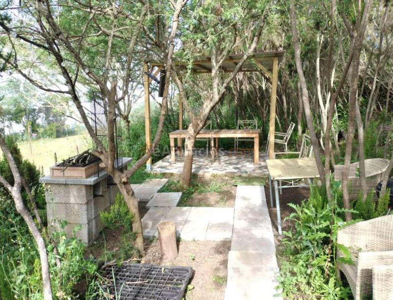 FINCA RÚSTICA CON VIVIENDA, 2 habitaciones EN ERJOS, TENERIFE OESTE Se vende finca rústica de 2.305 m