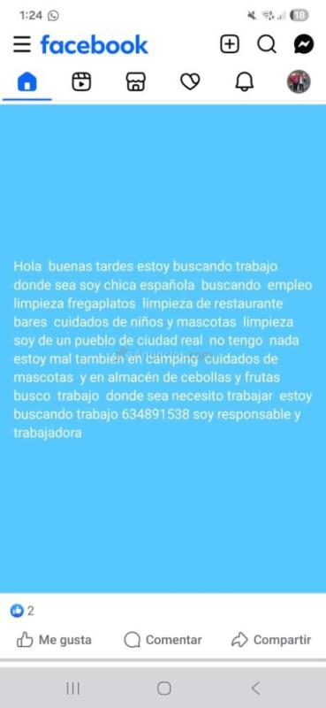 Soy chica responsable  busco trabajo