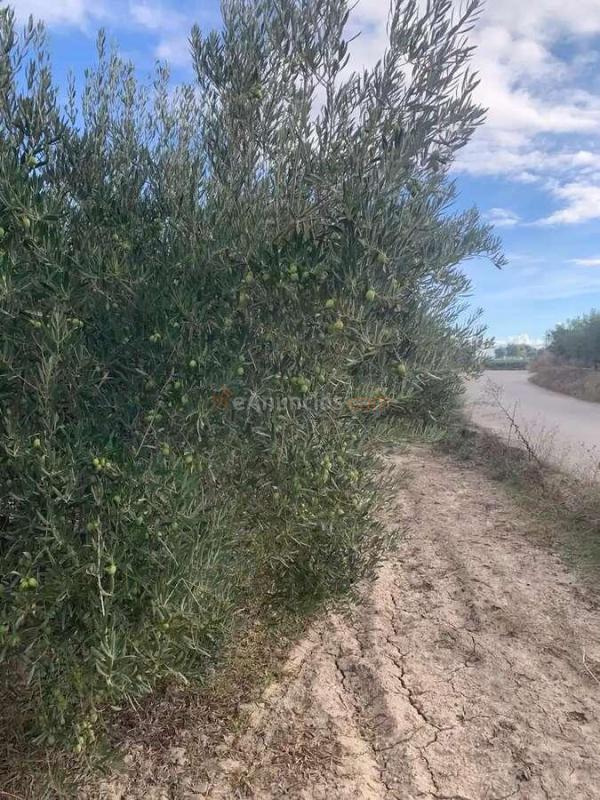 Venta  - Huércal-Overa, Almería