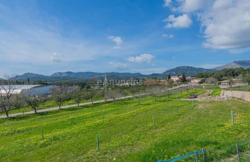 Venta Chalet independiente - Calviá  Calvi, Baleares (Illes Balears), Mallorca