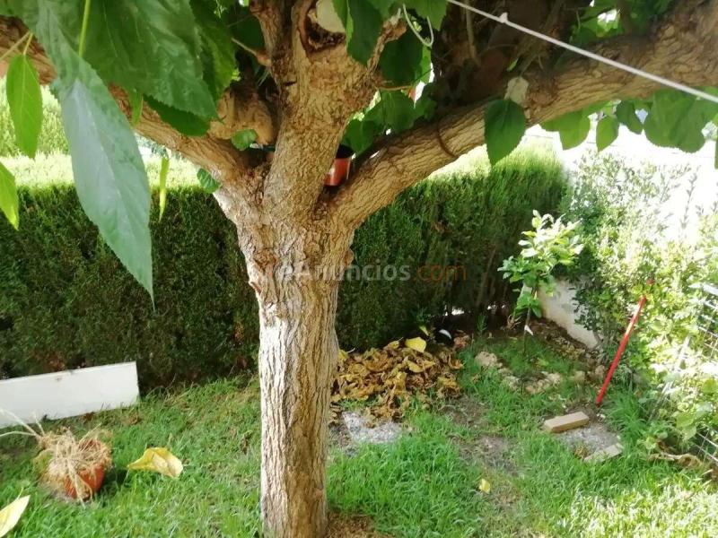 Venta  - Vendrell, El, Tarragona