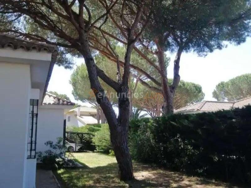 Venta Chalet independiente - Conil de la Frontera, Cádiz
