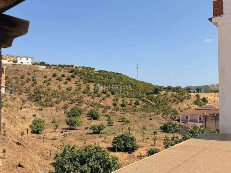 Venta  - Benamargosa, Málaga