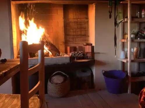 Finca rústica con casa en excelente estado en La Pobla de Cérvoles